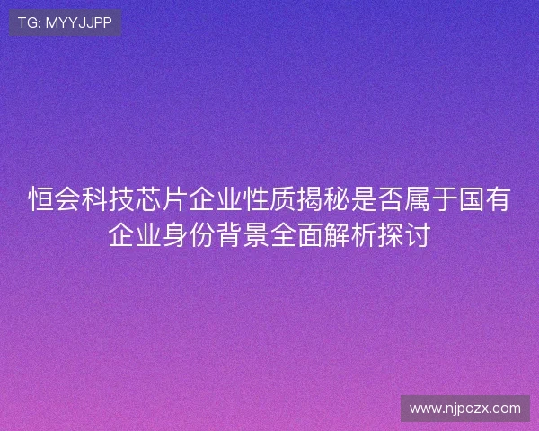 恒会科技芯片企业性质揭秘是否属于国有企业身份背景全面解析探讨
