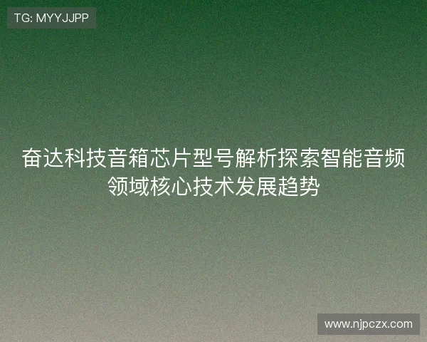 奋达科技音箱芯片型号解析探索智能音频领域核心技术发展趋势
